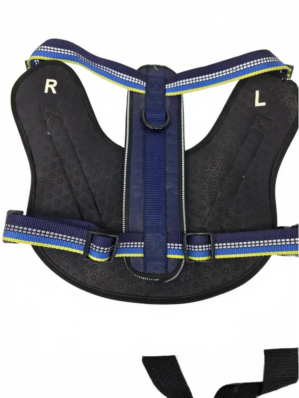 Blue reflective dog harness Ergo Paw NWT
